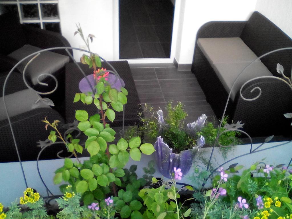 Apartment Poropat Porec Room photo